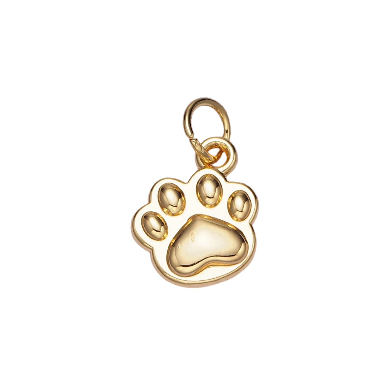 Paw Print Charm