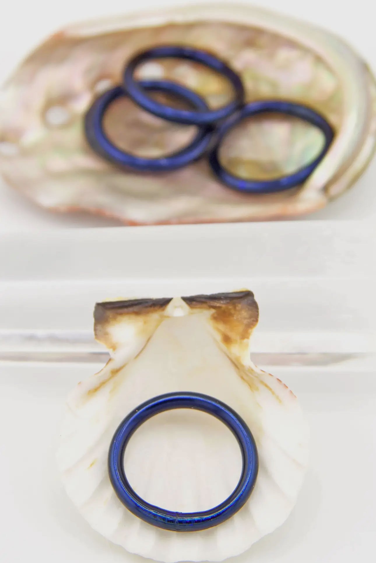 JELLY RINGS