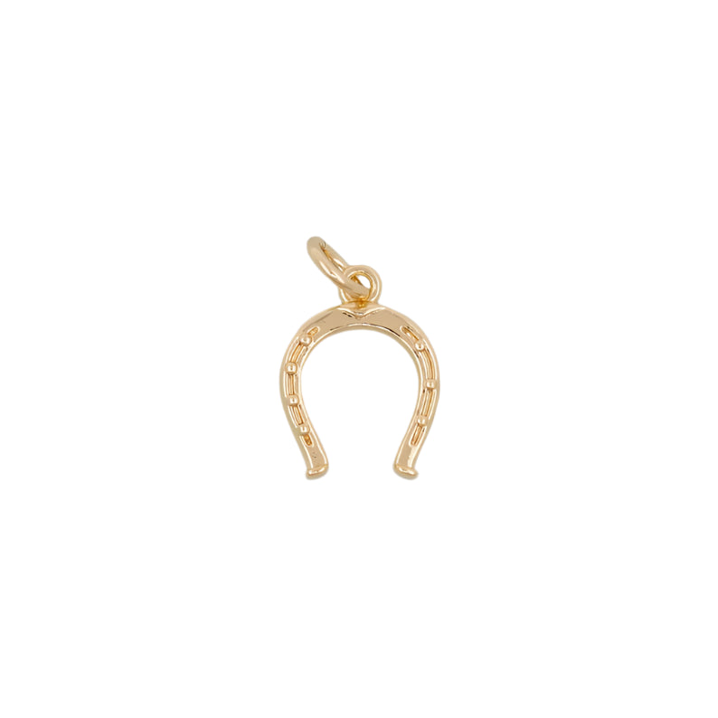 Horseshoe Charm