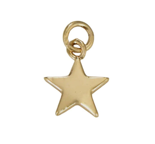 Gold Star Charm