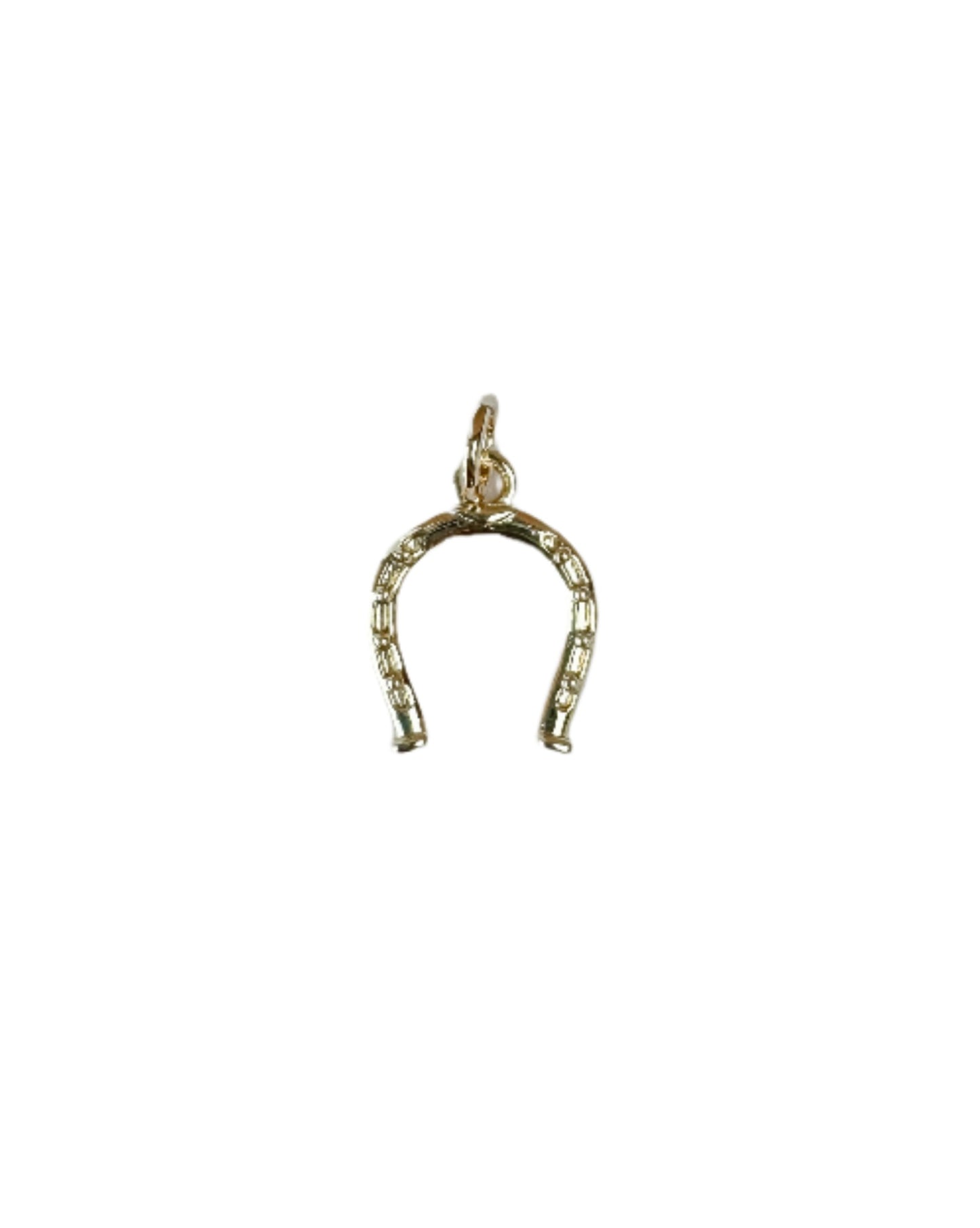 Horseshoe Charm