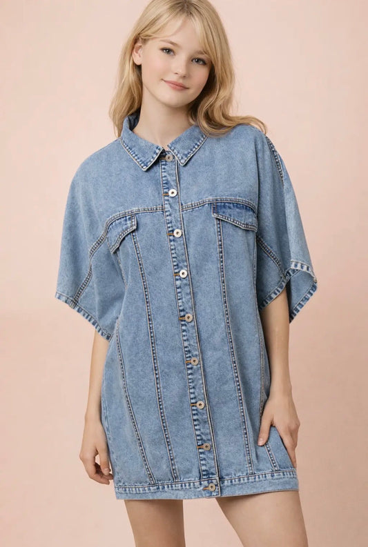 STEEL DENIM MINI DRESS
