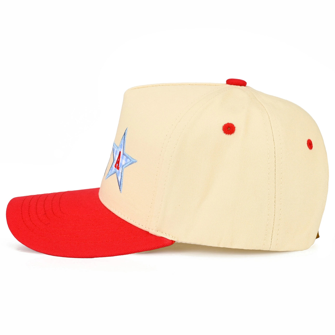 USA TRUCKER HAT